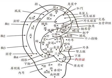 耳廓有痣女|耳朵长痣的位置图解 耳朵长痣的位置图解有福气